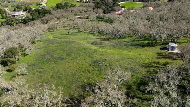 bird's eye view with a rural view