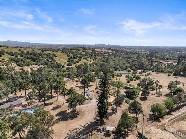 3210 Live Oak Park Rd, Fallbrook, CA 92028 - drone / aerial view