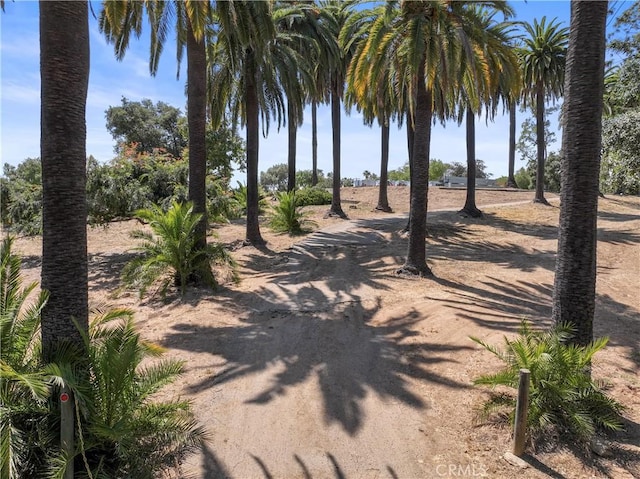 3210 Live Oak Park Rd, Fallbrook, CA 92028 - view of street