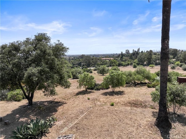3210 Live Oak Park Rd, Fallbrook, CA 92028 - view of undeveloped land featuring rural landscape