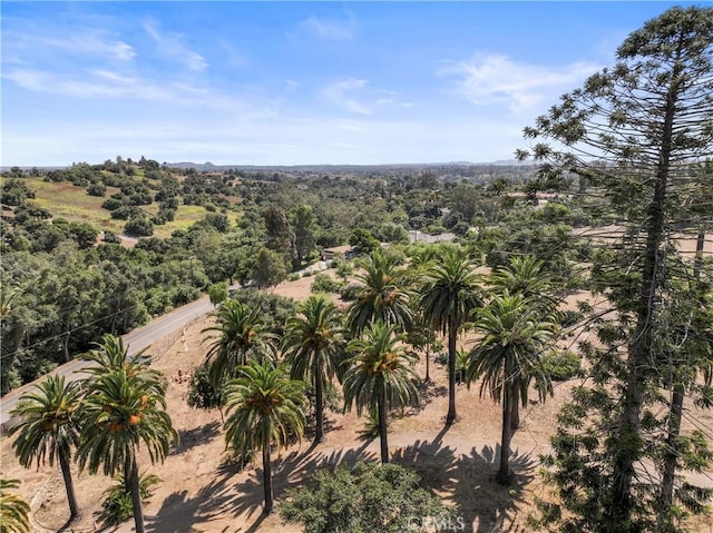 3210 Live Oak Park Rd, Fallbrook, CA 92028 - aerial view of a heavily wooded area