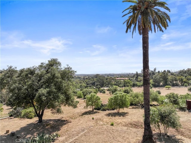 3210 Live Oak Park Rd, Fallbrook, CA 92028 - view of nature