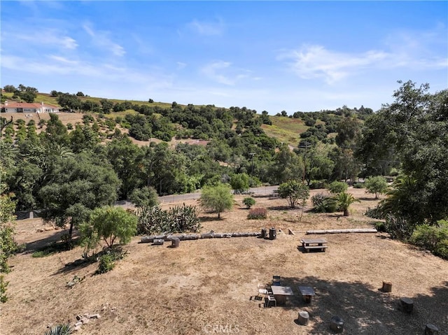 3210 Live Oak Park Rd, Fallbrook, CA 92028 - view of nature