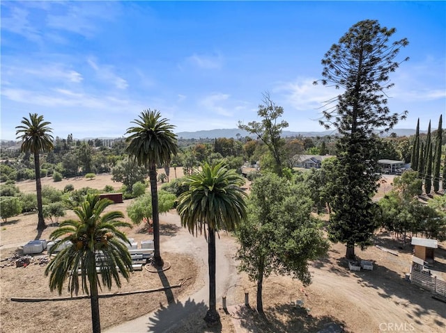 3210 Live Oak Park Rd, Fallbrook, CA 92028 - view of yard