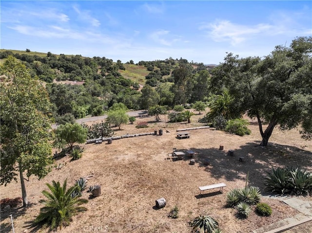 3210 Live Oak Park Rd, Fallbrook, CA 92028 - view of yard