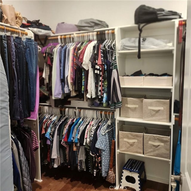 spacious closet featuring wood-type flooring