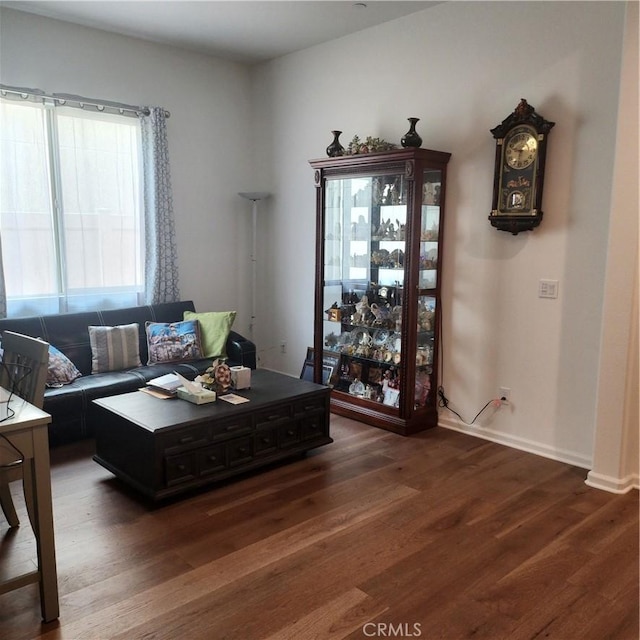 living room featuring dark hardwood / wood-style flooring