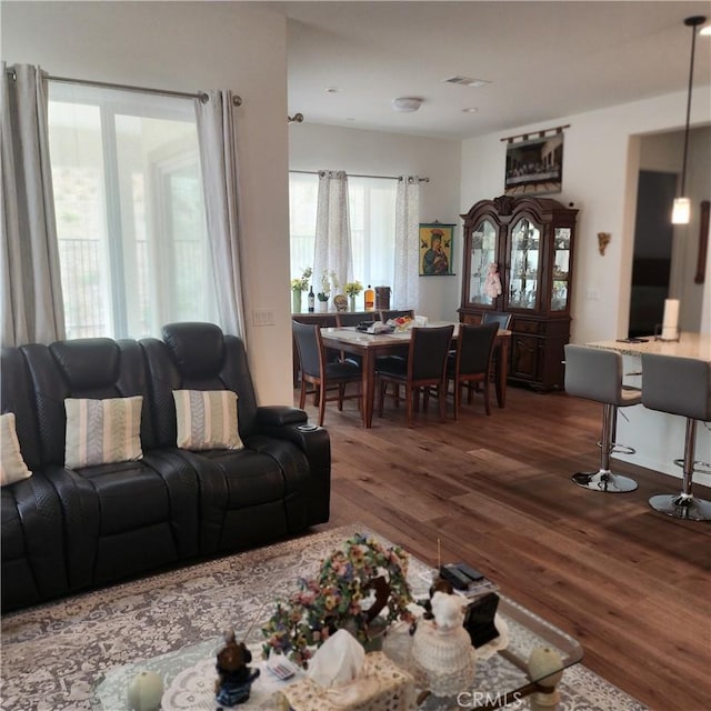 living room featuring hardwood / wood-style floors