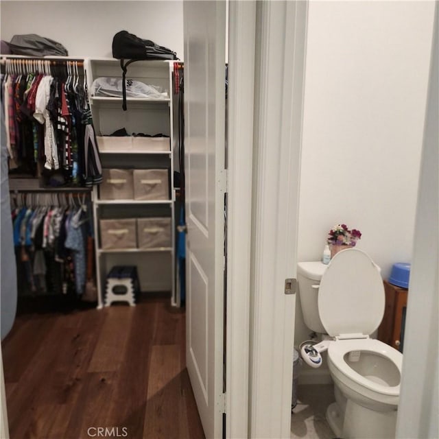 interior space with hardwood / wood-style floors and toilet