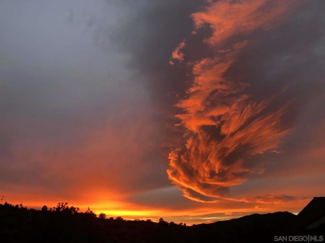 view of nature at dusk