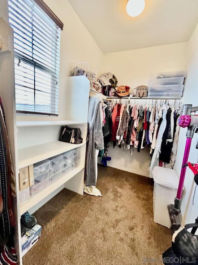 walk in closet featuring carpet