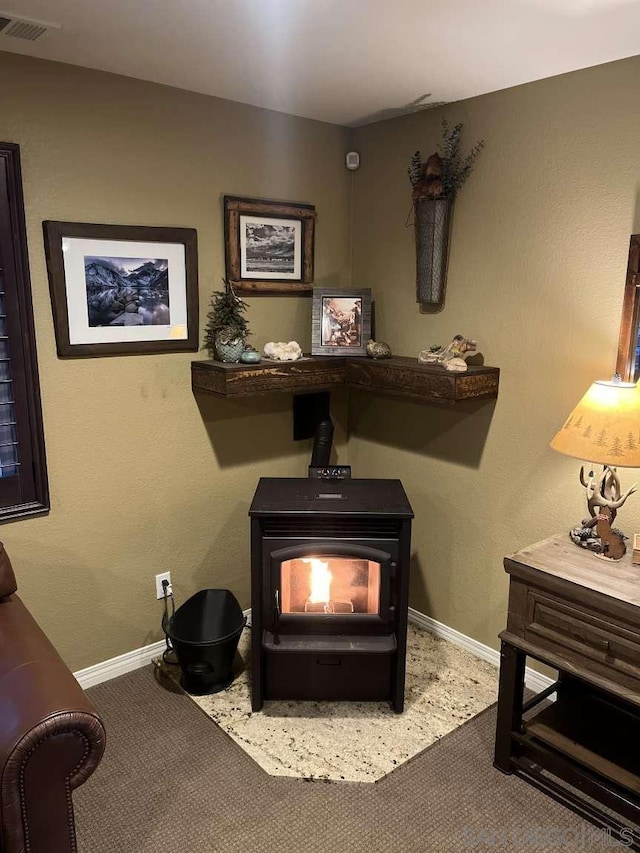 room details with a wood stove and carpet floors