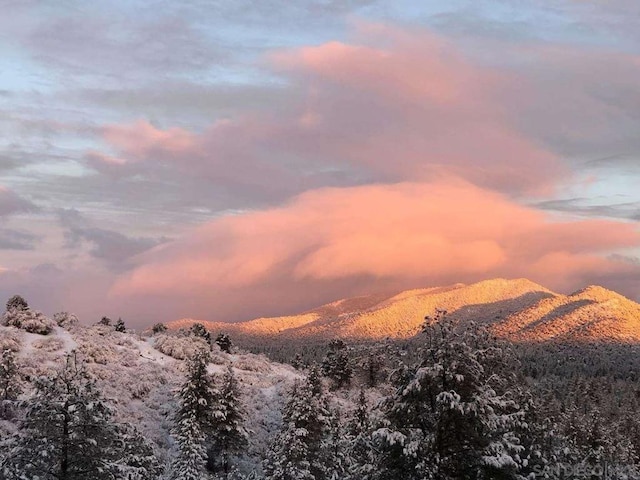 view of mountain feature