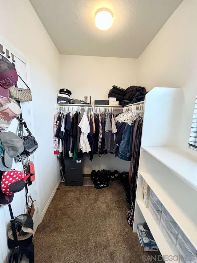 spacious closet with carpet