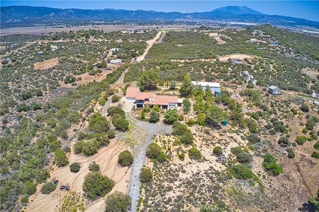 drone / aerial view featuring a mountain view