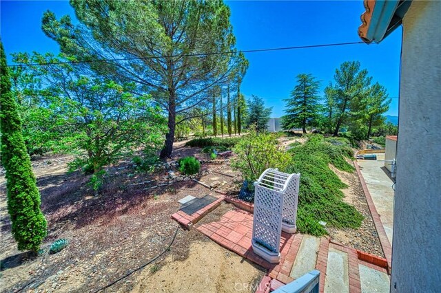 view of yard featuring a patio area