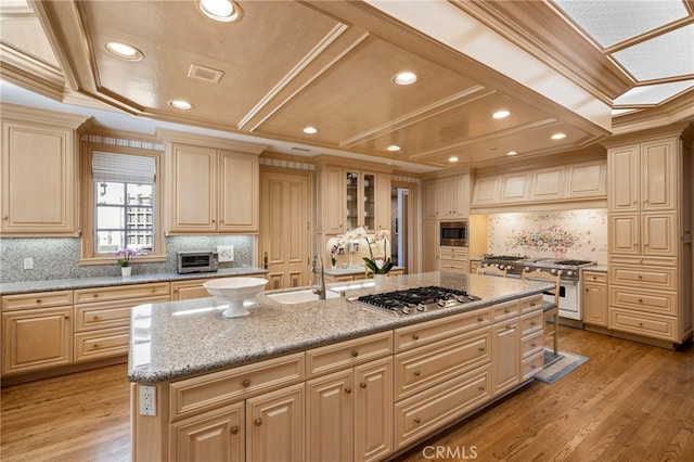 kitchen with light hardwood / wood-style floors, sink, an island with sink, and appliances with stainless steel finishes