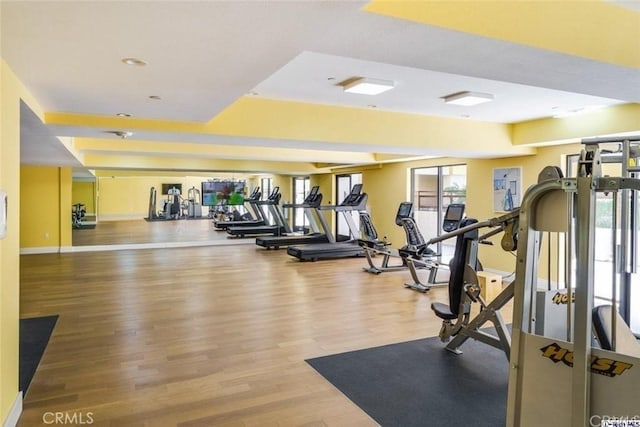 exercise room featuring wood-type flooring and a healthy amount of sunlight