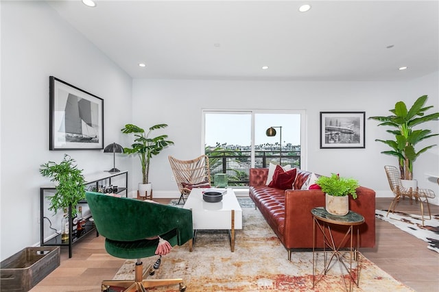 living room featuring light hardwood / wood-style flooring