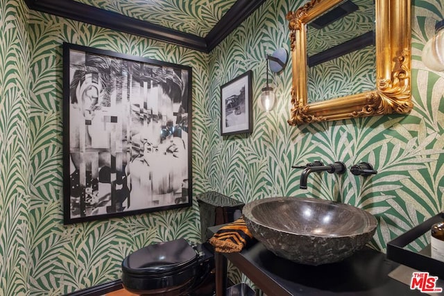 bathroom featuring toilet, vanity, and crown molding