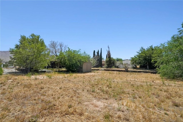 view of yard featuring a rural view