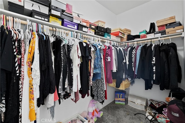 walk in closet with carpet