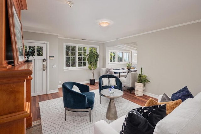 living room featuring wood-type flooring and ornamental molding