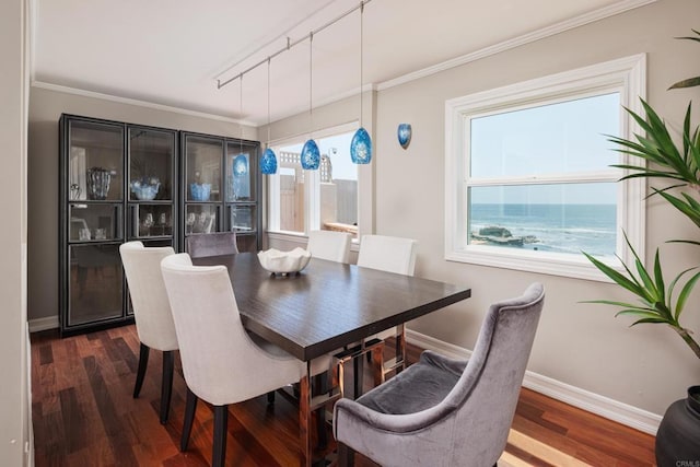 dining room with rail lighting, a wealth of natural light, and ornamental molding