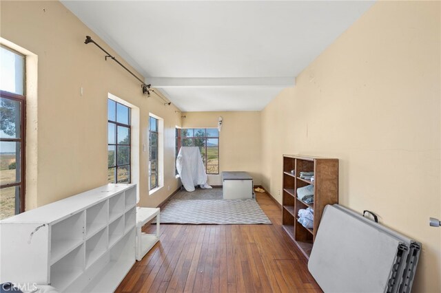 interior space featuring plenty of natural light and dark wood-type flooring