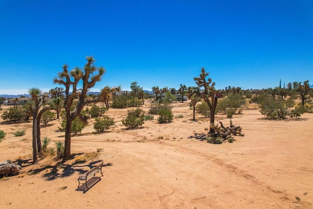 view of local wilderness featuring a rural view