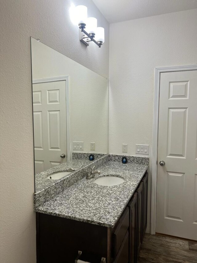 bathroom with hardwood / wood-style floors and vanity