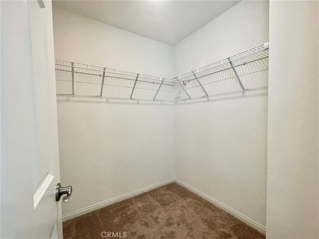 walk in closet with dark carpet