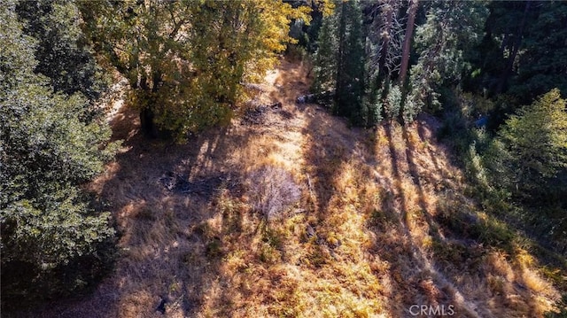 0 Mojave River Rd, Cedarpines Park CA, 92322 land for sale