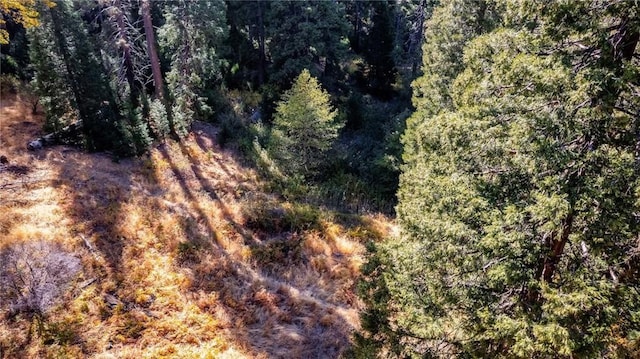 Listing photo 3 for 0 Mojave River Rd, Cedarpines Park CA 92322