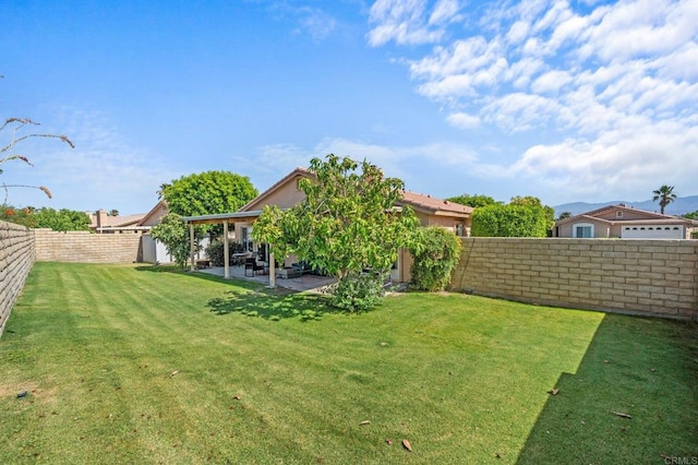 view of yard with a patio