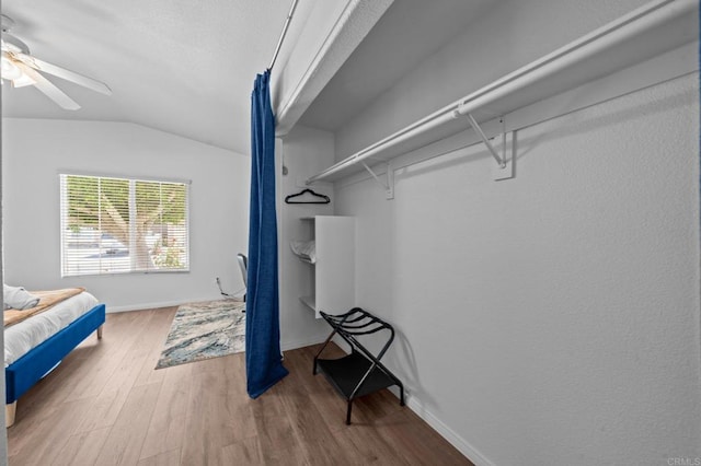 spacious closet with lofted ceiling, wood-type flooring, and ceiling fan