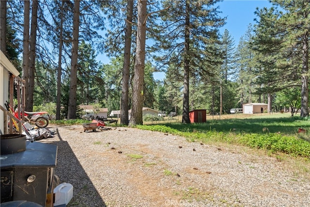 view of yard with a storage shed