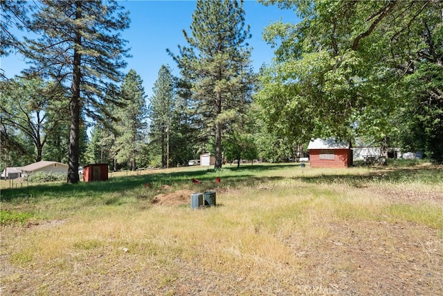 view of yard featuring a storage unit