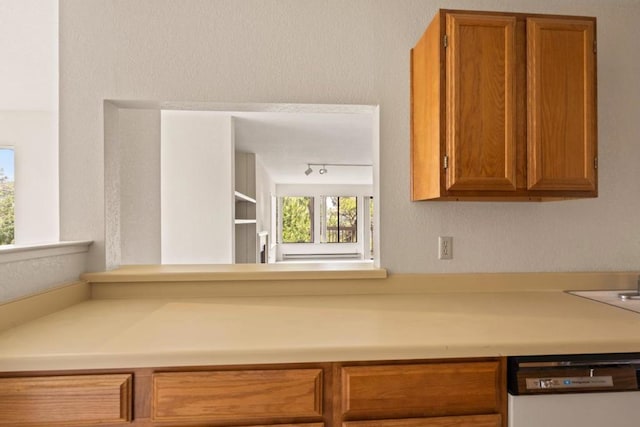 kitchen with white dishwasher and track lighting