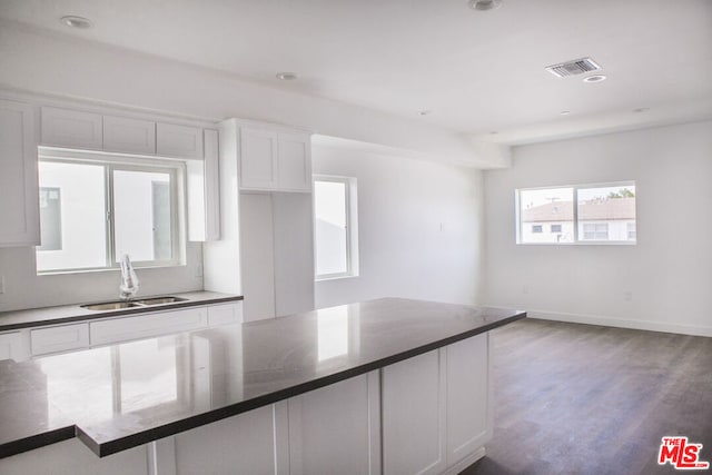 kitchen with white cabinetry, sink, and dark wood-type flooring