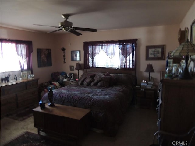 bedroom featuring ceiling fan, multiple windows, and carpet floors