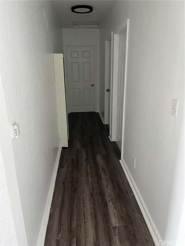 hallway featuring dark hardwood / wood-style flooring