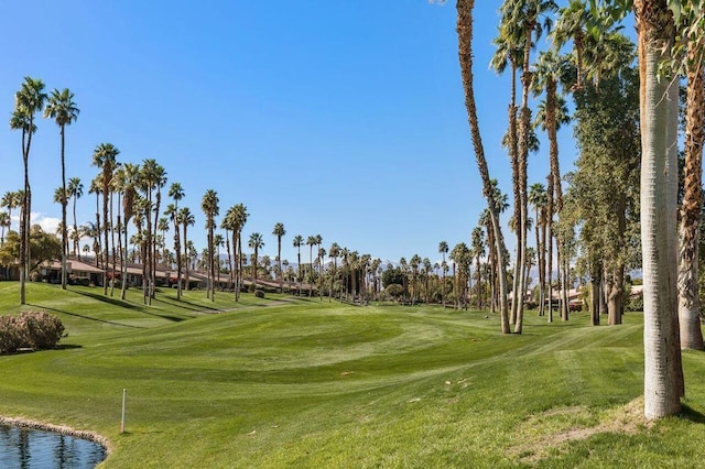 view of property's community featuring a lawn