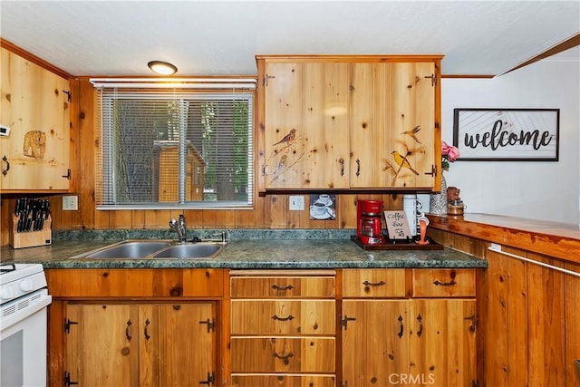 kitchen with crown molding, sink, and white gas range oven