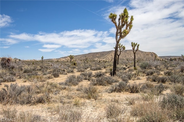 Listing photo 3 for 59190 Barron Dr, Yucca Valley CA 92284