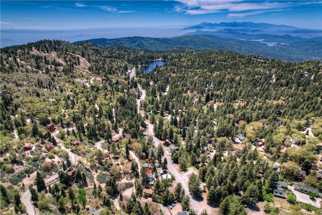 birds eye view of property featuring a water and mountain view