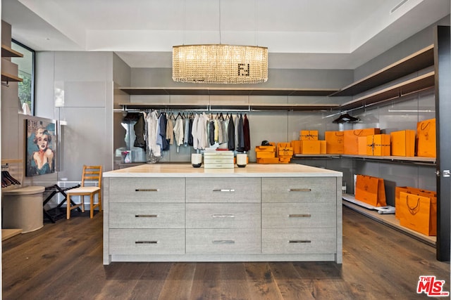 walk in closet with dark wood-type flooring