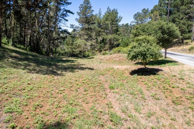 Listing photo 3 for 0 Aguajito Rd, Carmel CA 93923