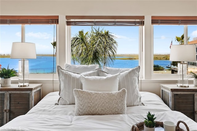 bedroom featuring a water view