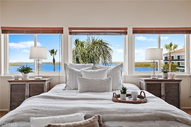 bedroom featuring a water view